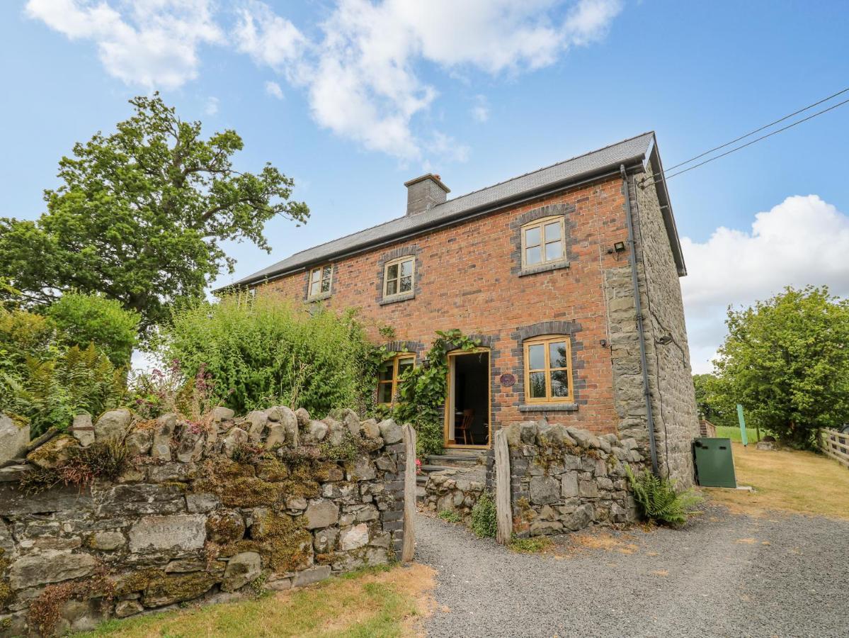 Byrdir Cottage Llanwrthwl Exteriör bild
